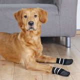 Hundsockar gummerad 2-pack svart