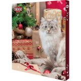 Adventskalender Katt