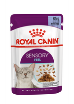 RC Sensory Feel Gravy 85g