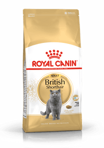 RC British Shorthair Adult 2 kg